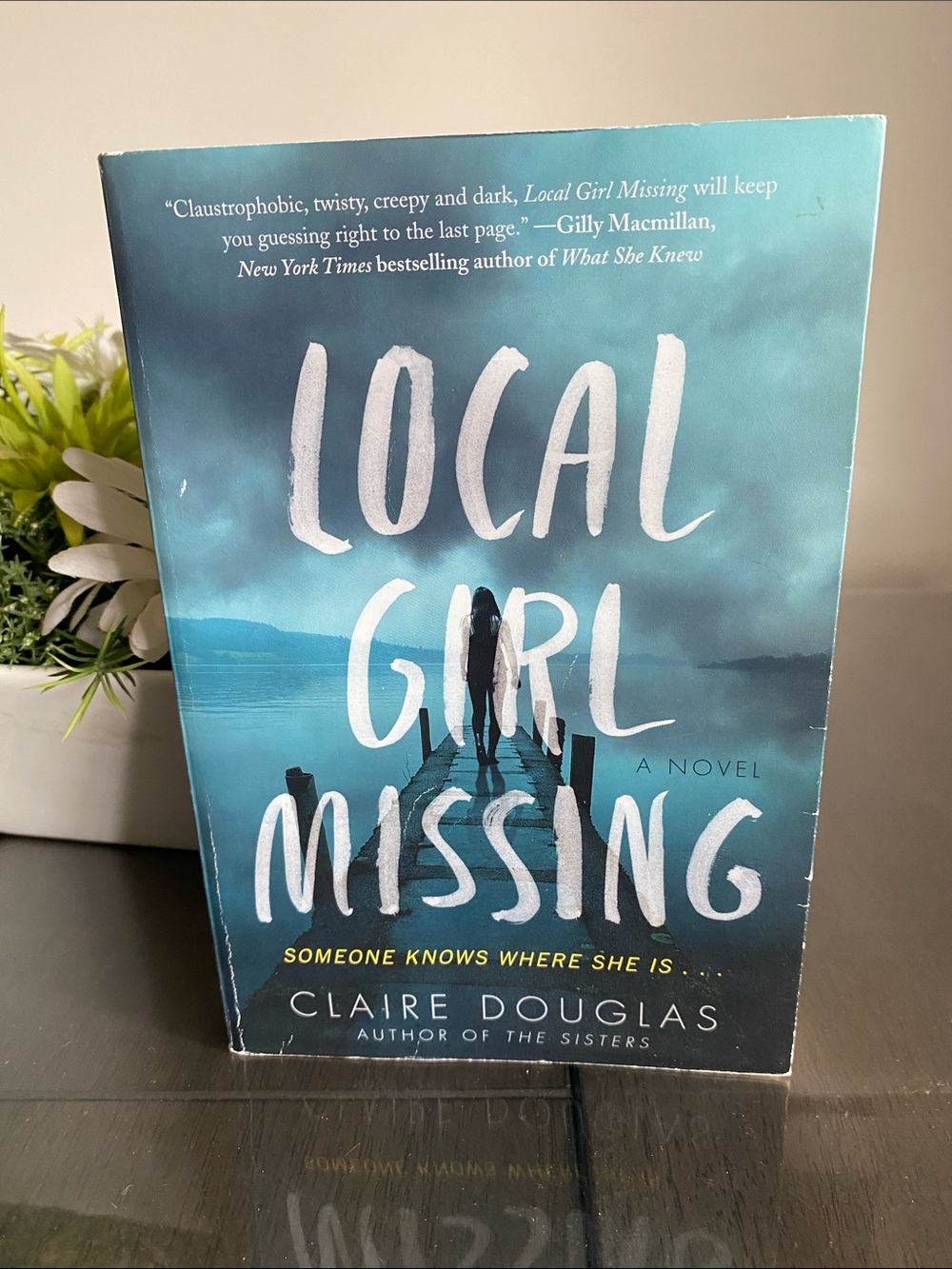 Local Girl Missing Book Claire Douglas Novel fiction thriller